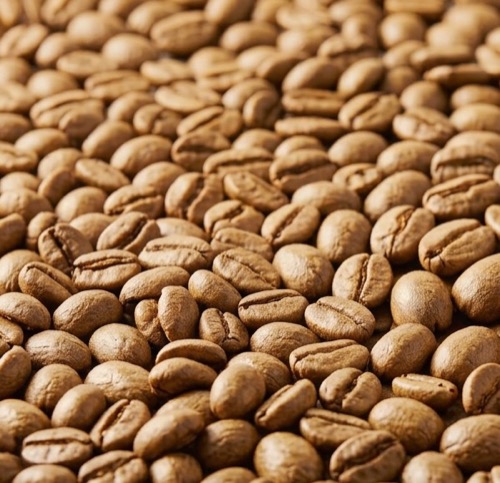 Light roast beans